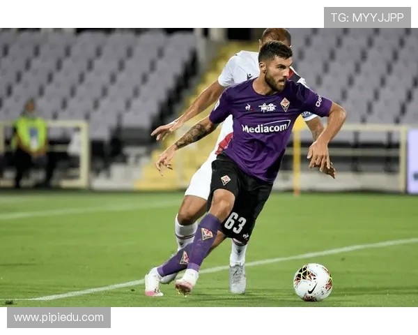 莫纳意甲球队深度解析：这支意甲球队如何在联赛中崭露头角