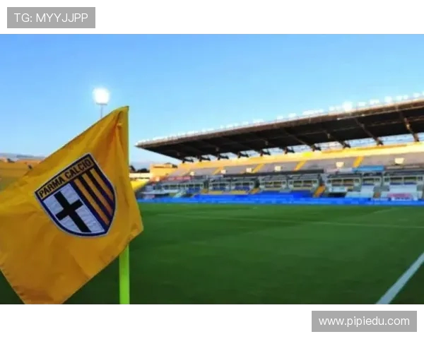 意甲各支球队所属城市一览表：地域分布与球迷基础